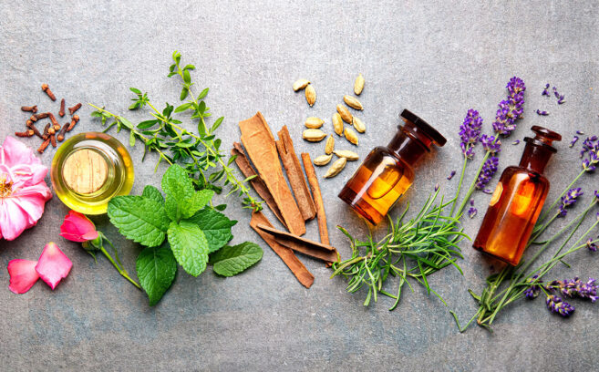 Bottles of essential oil with rosemary, thyme, cinnamon sticks, cardamom, mint, lavender, rose petals and buds